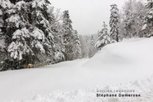 Sorties raquettes : La neige en montagne